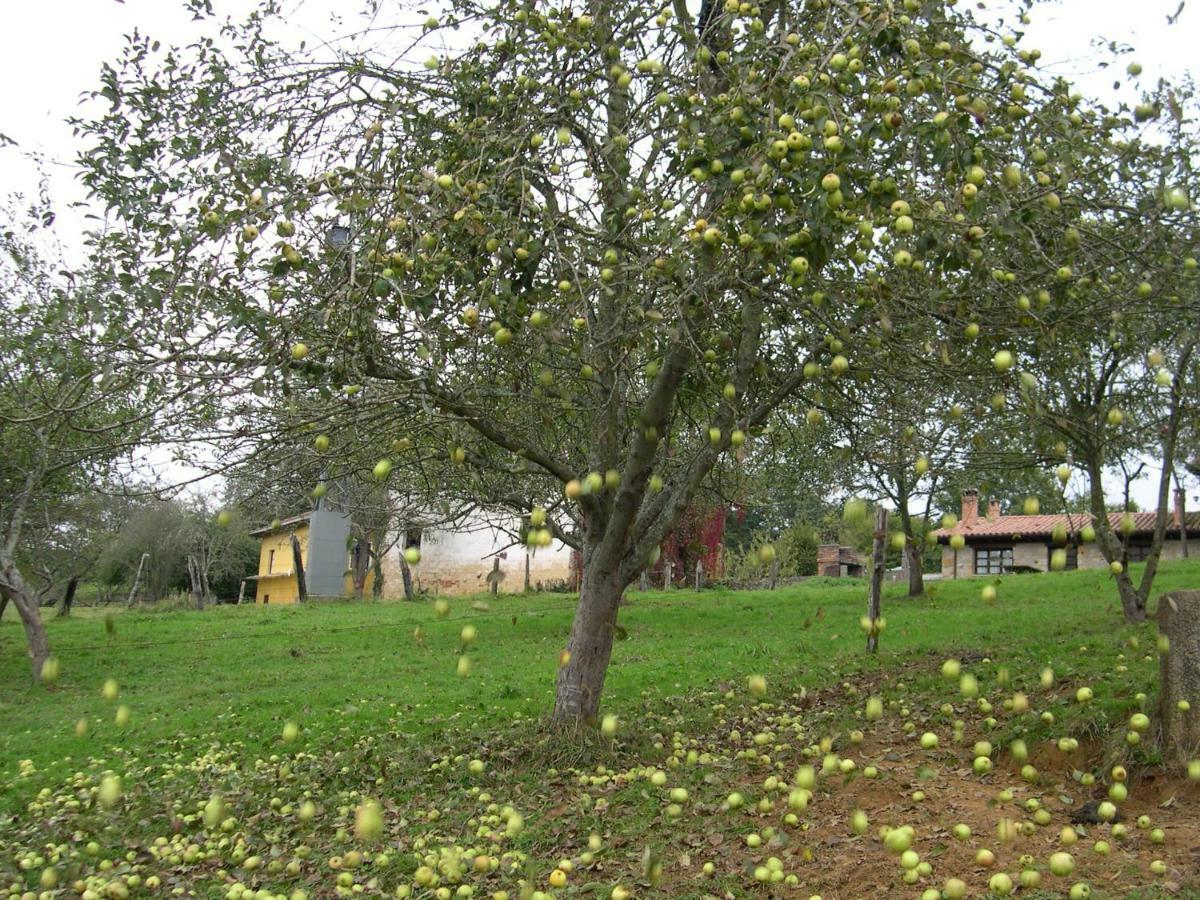 Turismo Rural El Sidron Guest House Pilona Exterior photo